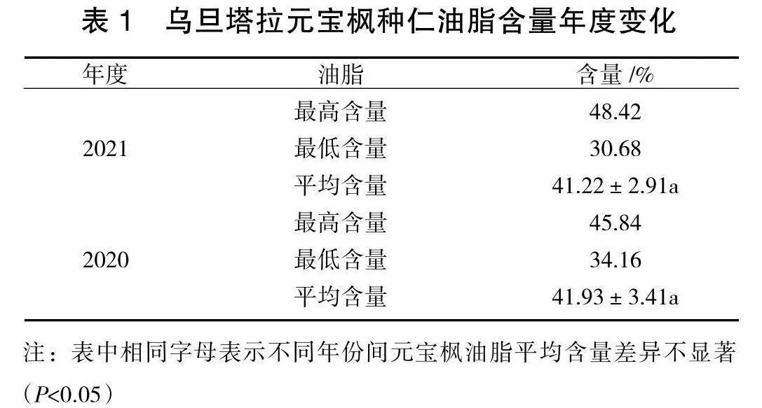 乌旦塔拉元宝枫种仁营养成分及其含量特征