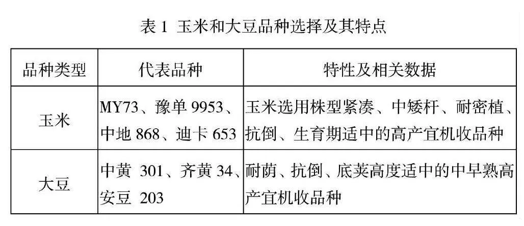 大豆－玉米带状复合种植技术优势及具体操作举措