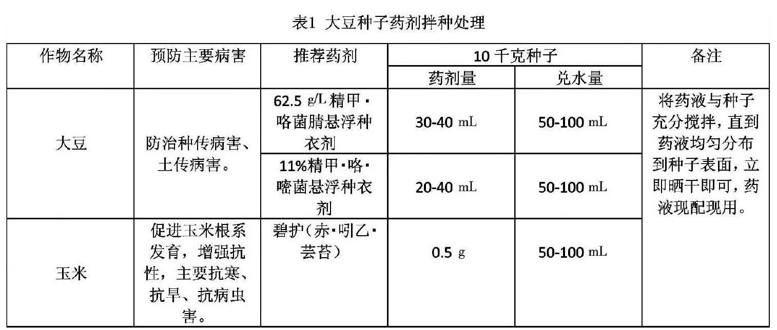大豆玉米带状复合种植创新模式及技术优化分析