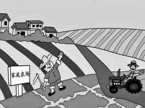 乡村振兴战略下助力农村经济可持续高质量发展研究