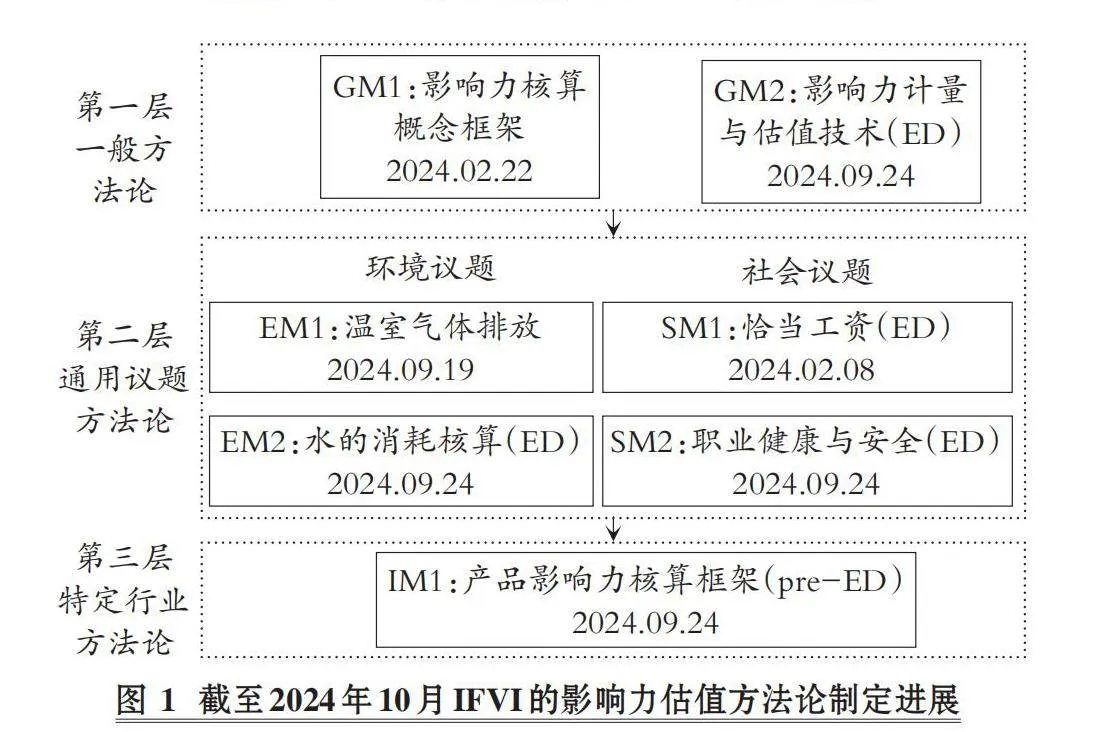 IFVI影响力核算一般方法论2号：测量与评估