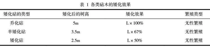 推行苹果树矮化密植栽培技术和科学优化管理的运用