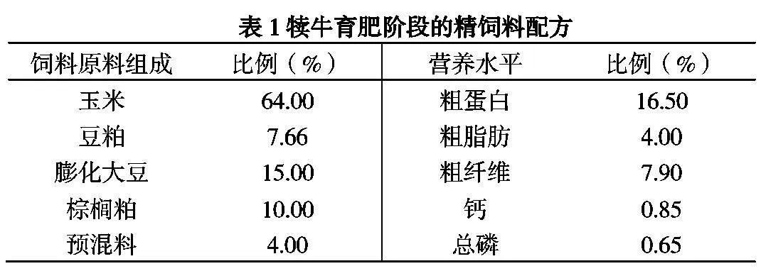 不同青贮饲料饲喂犊牛育肥效果的试验讨论分析