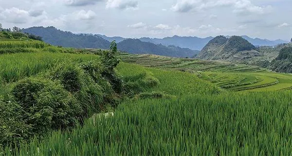 群众文化助推乡村旅游“火”起来