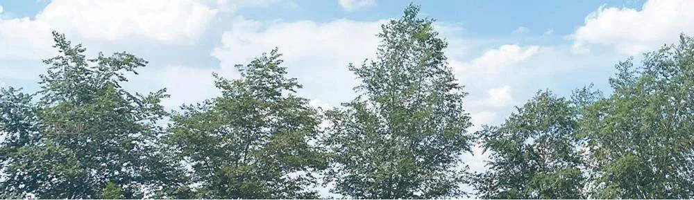 公共图书馆激发书香促振兴