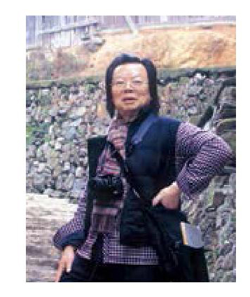 倦游归来画斜阳