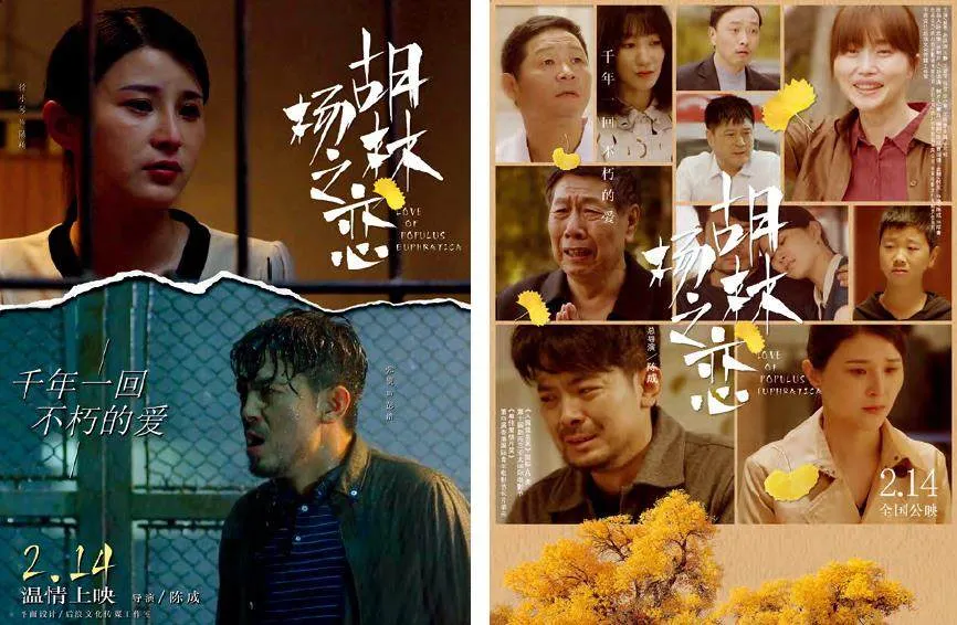 电影故事片《胡杨林之恋》